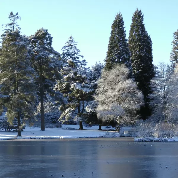 Bedgebury.png
